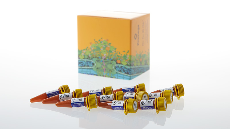 N2585_NanoBRET--Nano-Glo- -Kinetic-Detection-System_3